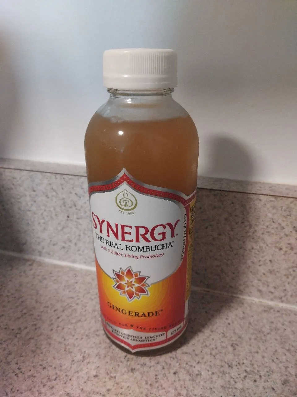 GT's Synergy Gingerade — the bottle I used as a starter